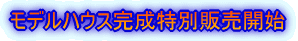 �j�H���������ʉ��i�̔��J�n