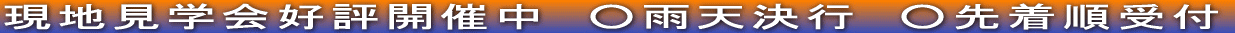 ���n���w��D�]�J�Ò��@���J�V���s�@���撅����t